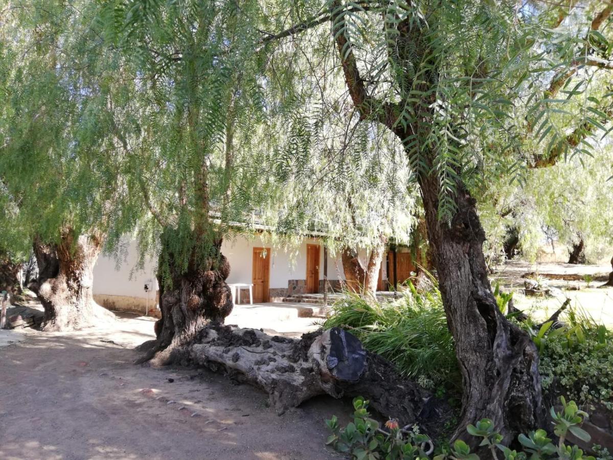 ホテル Doornfontein Guest Farm クラドック エクステリア 写真